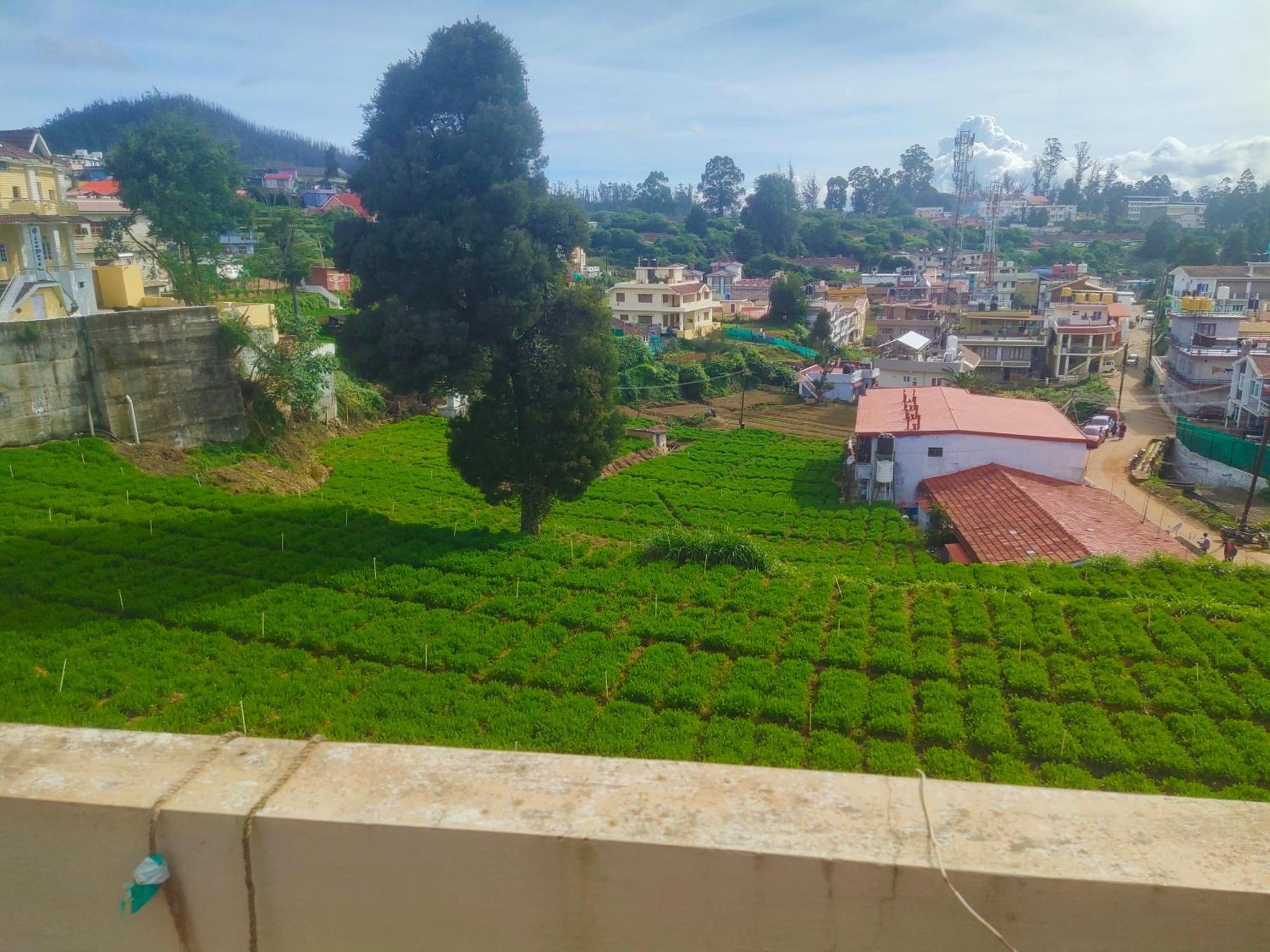Ooty Mountain Cottage Bagian luar foto